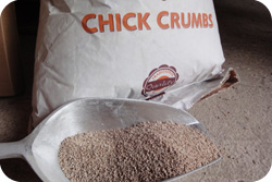 Chicken Pellets