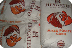 Chicken Pellets