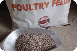 Growers Pellets