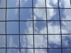 Wire Mesh 16 g - 6 metres x 90 cms